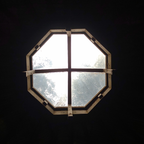 Meet your Posher, Thomas - Picture 8 of 16